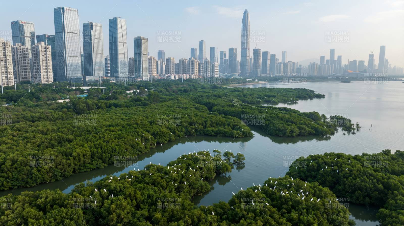 城市绿洲 水岸新城图片