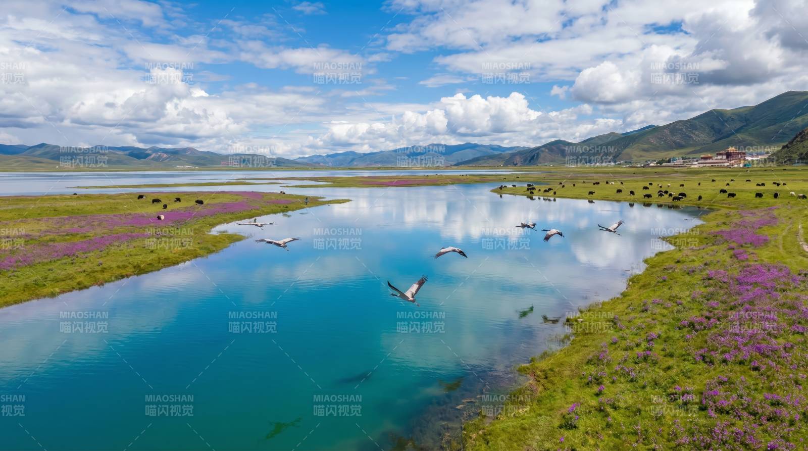 湖光山色鸟飞花图片