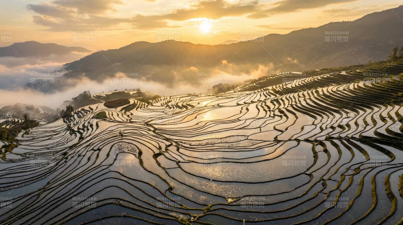 梯田晨曦图片