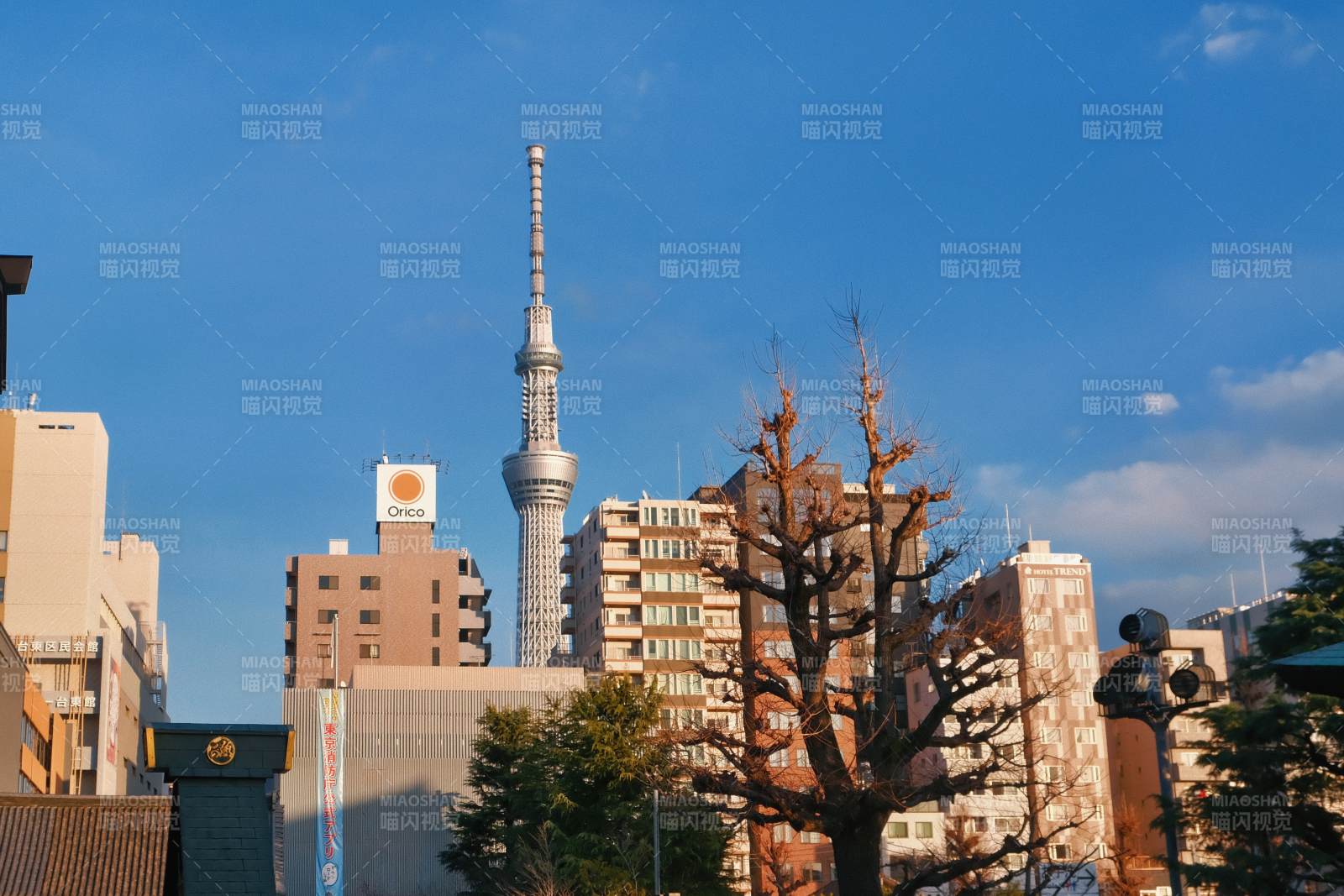 东京晴空塔的远景图片