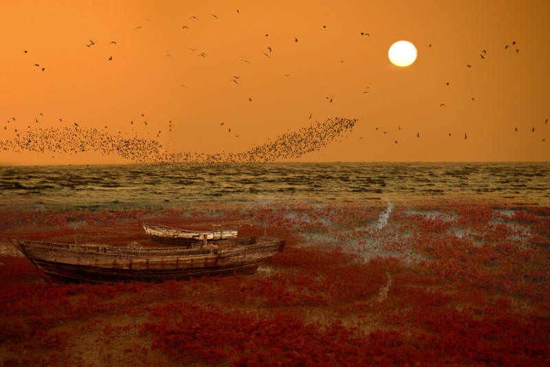 夕阳下的红海船影图片