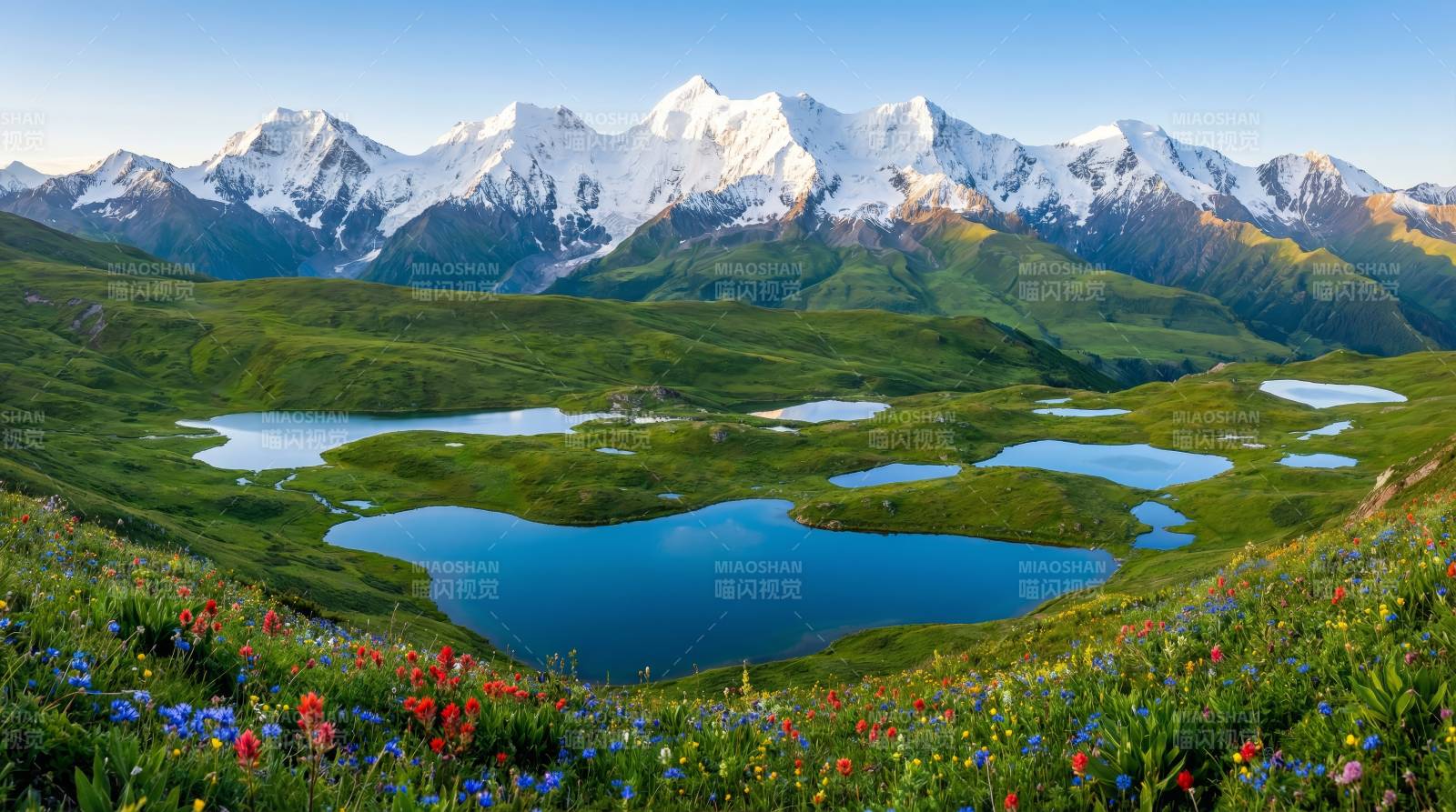 雪山花海映湖光图片