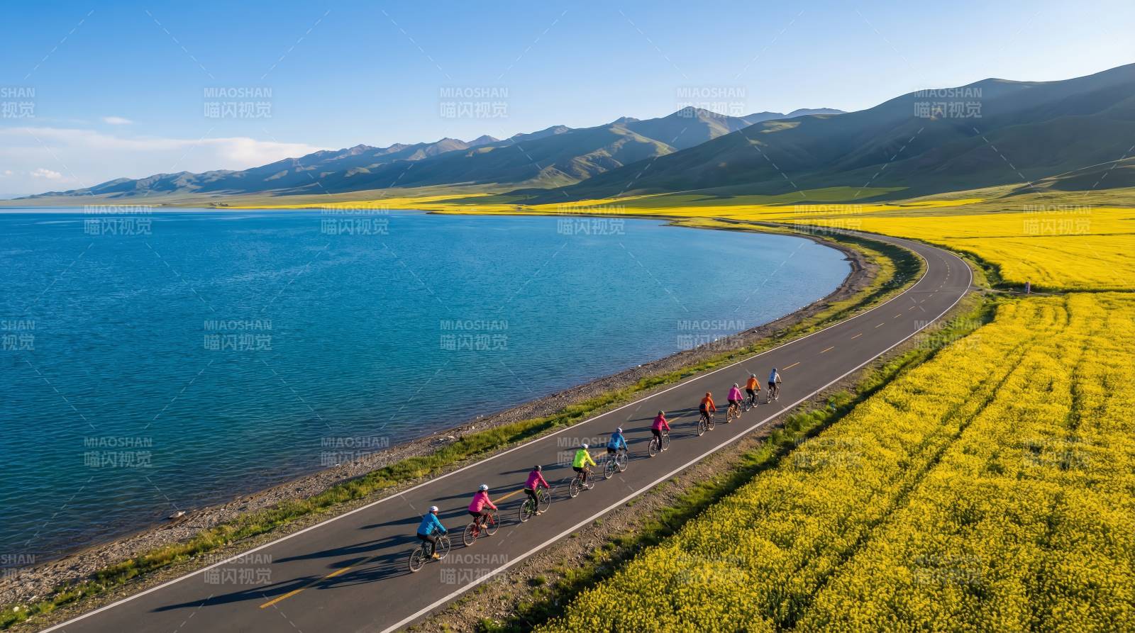 湖畔骑行赏花海图片