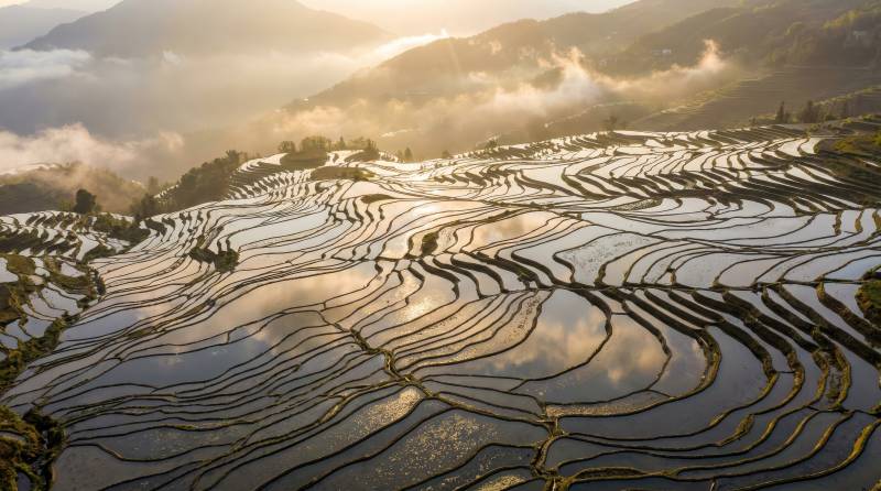 梯田晨曦图片