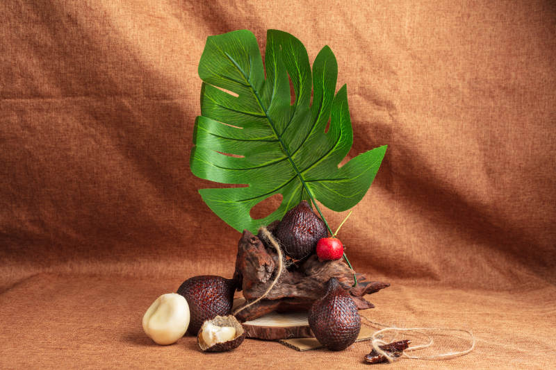 热带植物静物图片