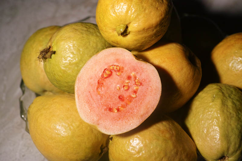 新鲜番石榴特写图片