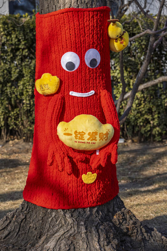 树穿红衣招财进宝图片