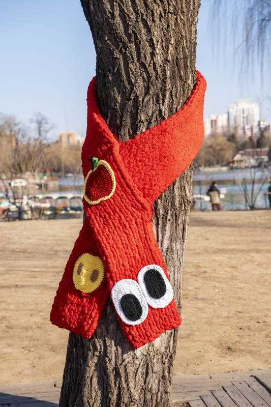 树上红围巾图片