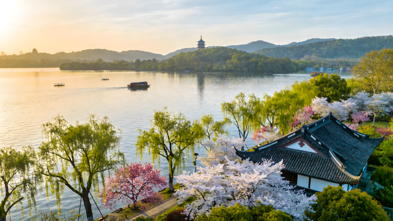 湖畔春景 樱花盛开图片