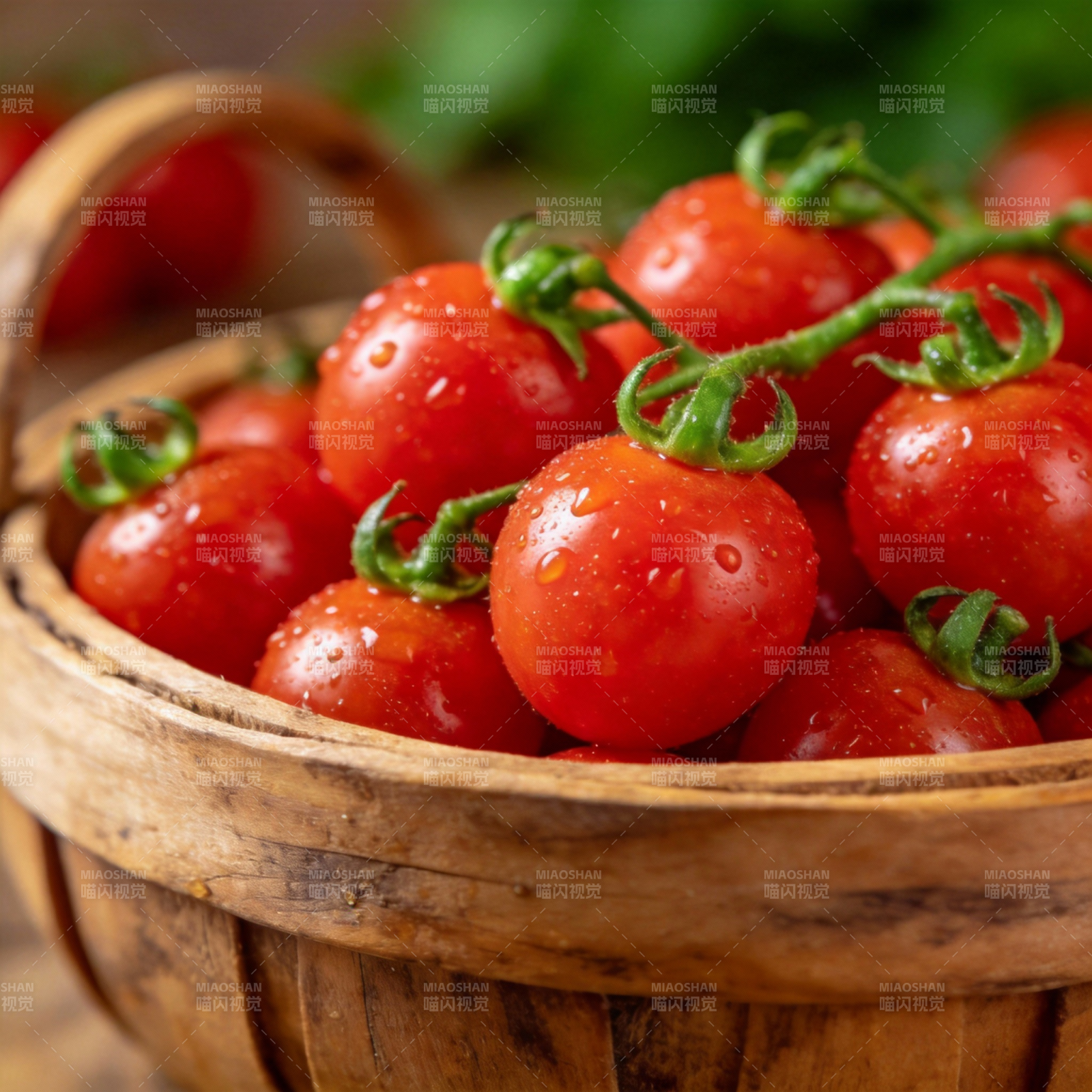 鲜红樱桃番茄图片