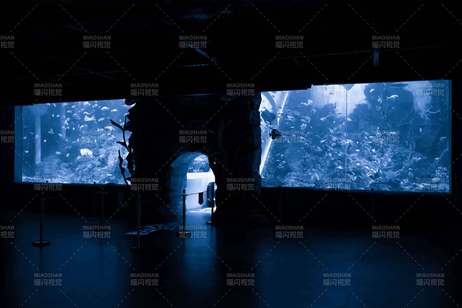 深海奇境探秘图片