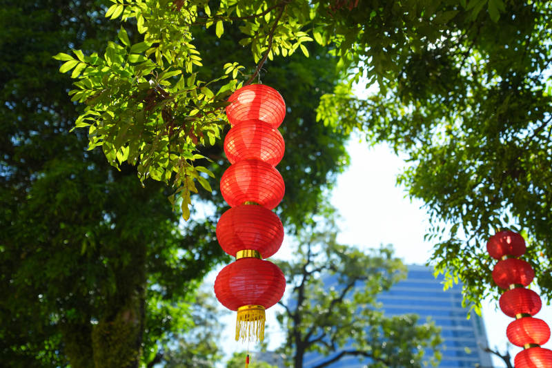 红灯笼挂树梢图片