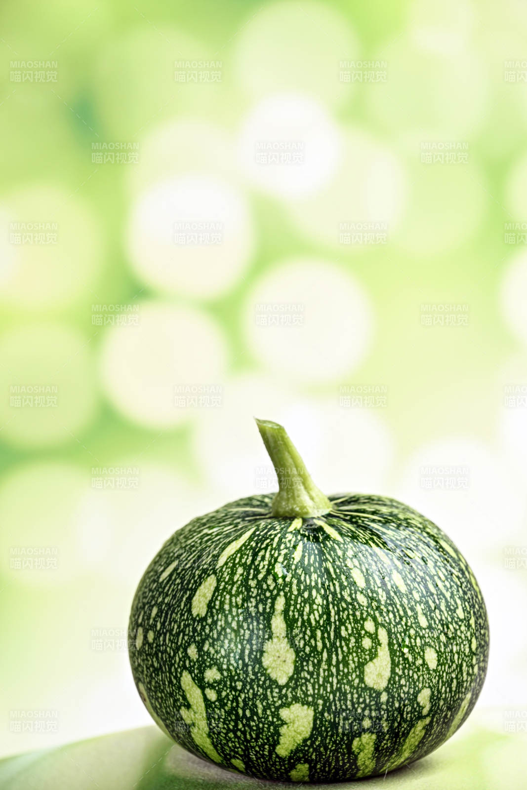 绿斑南瓜静置图图片