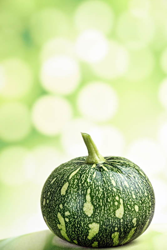 绿斑南瓜静置图图片