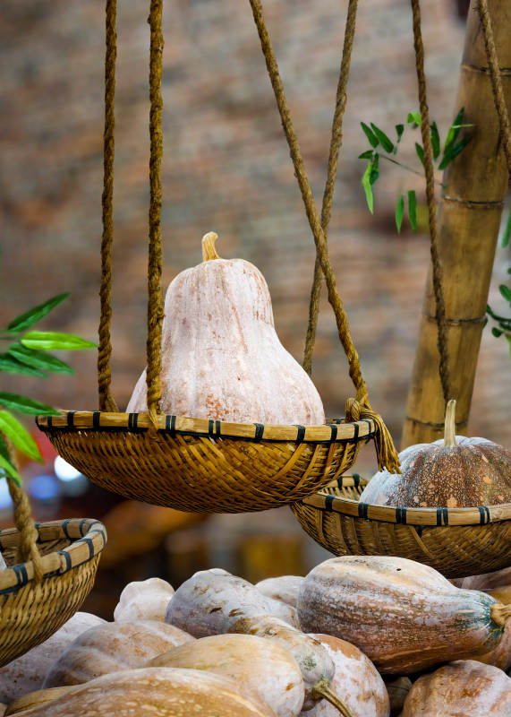 悬挂的南瓜篮图片