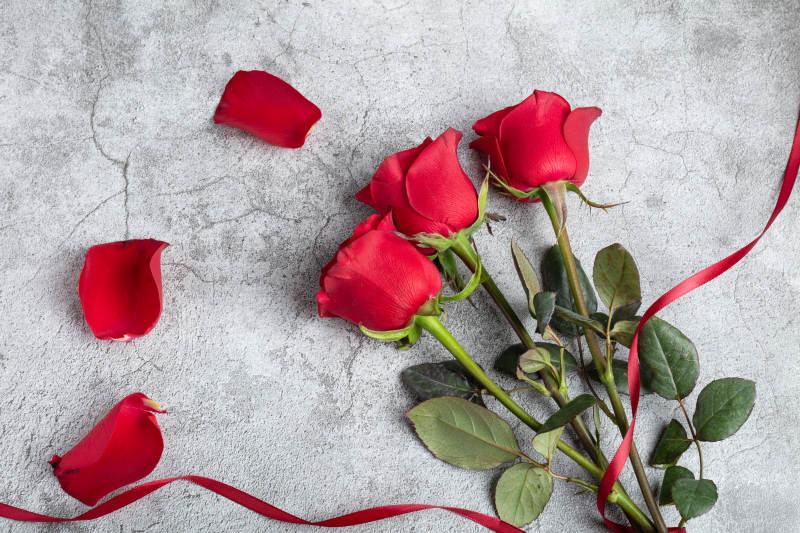 红玫瑰与花瓣静物图片