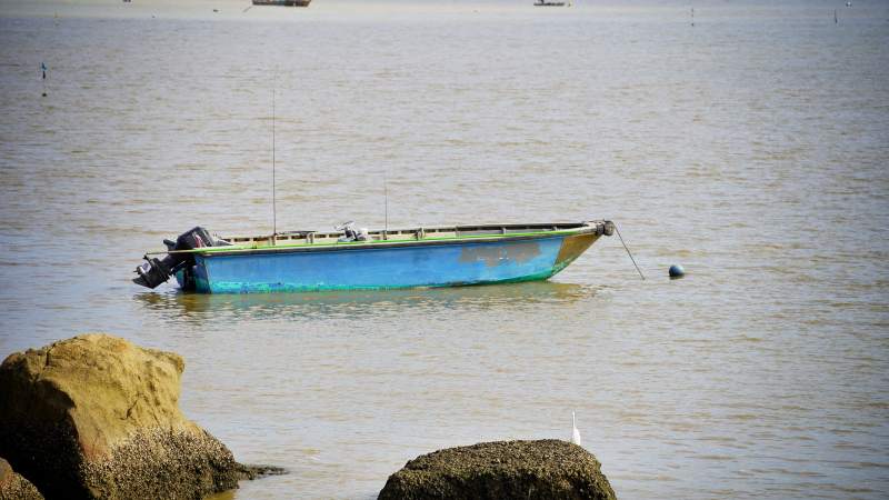 孤舟静泊水中央图片