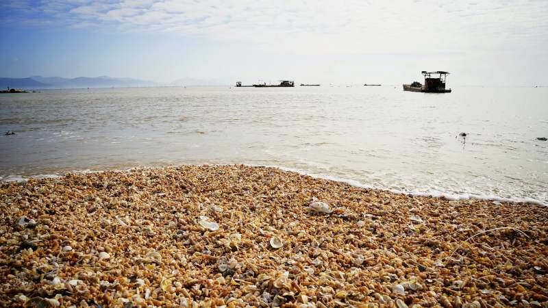 贝壳滩与远航船图片