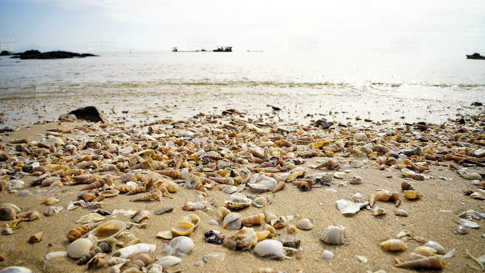 贝壳滩图片