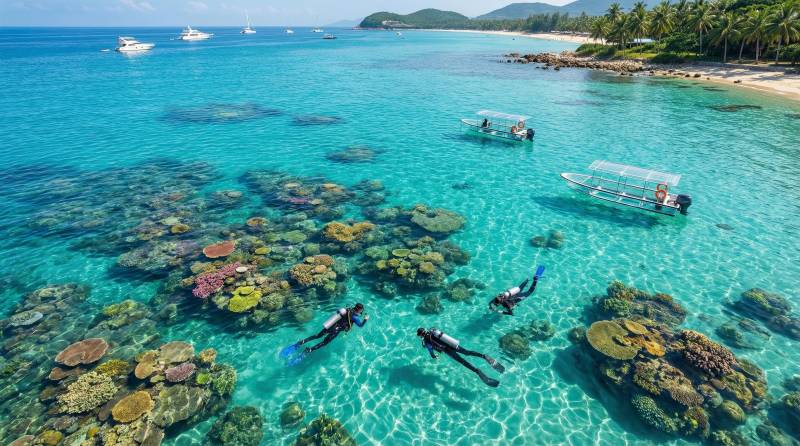 碧海珊瑚潜水乐图片