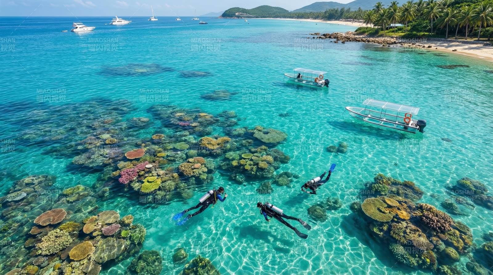 碧海珊瑚潜水乐图片