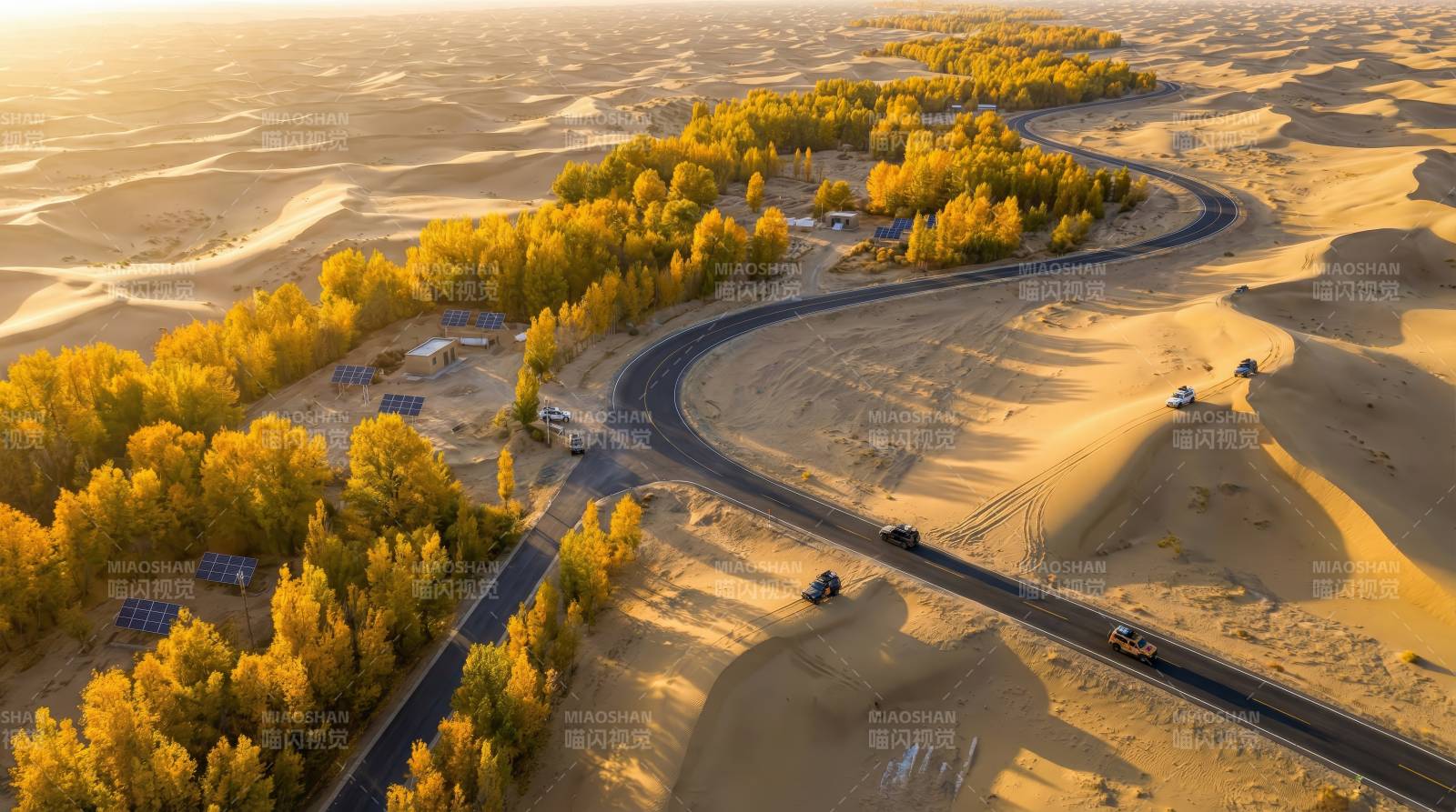 沙漠公路秋景图片