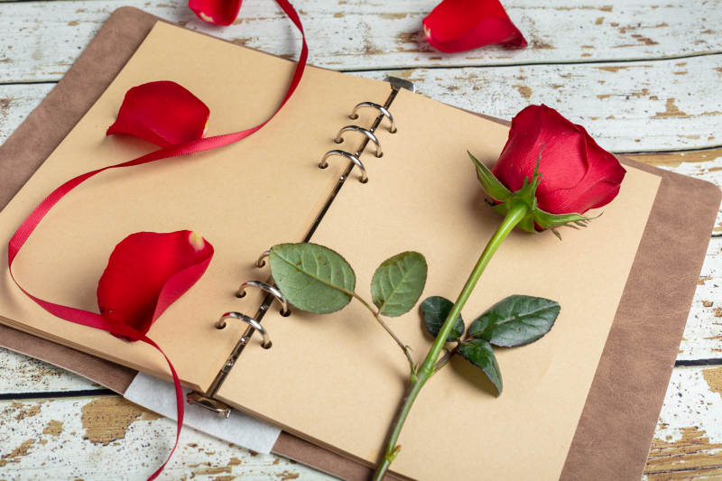 玫瑰与笔记本图片