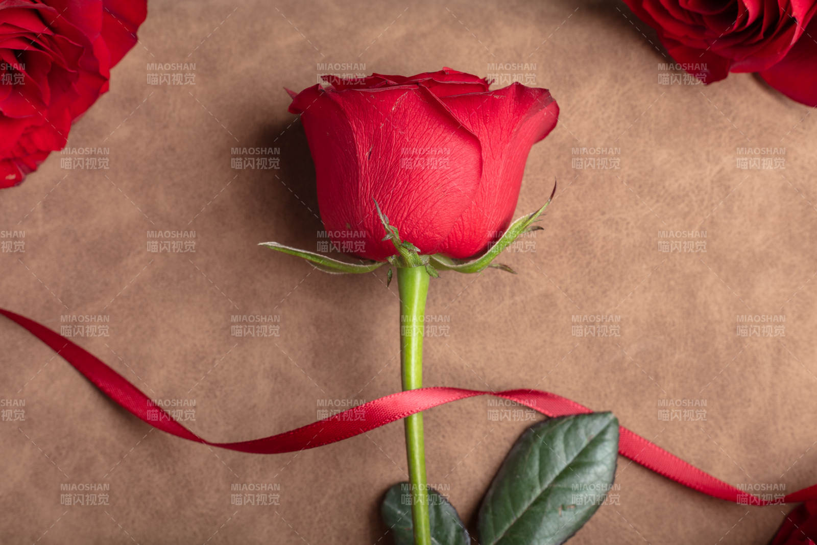 红玫瑰与丝带图片