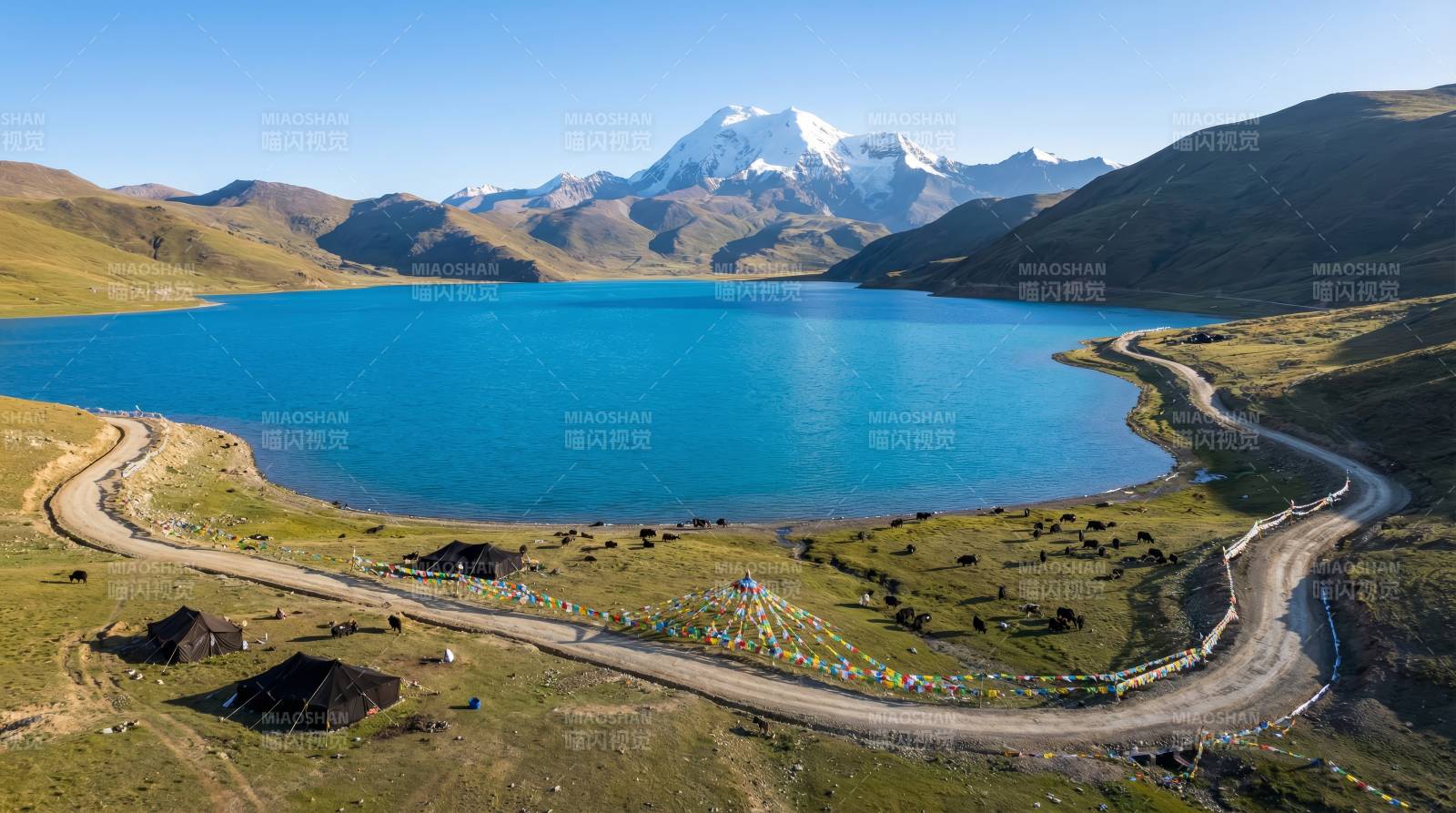 雪山映湖 路绕碧水图片