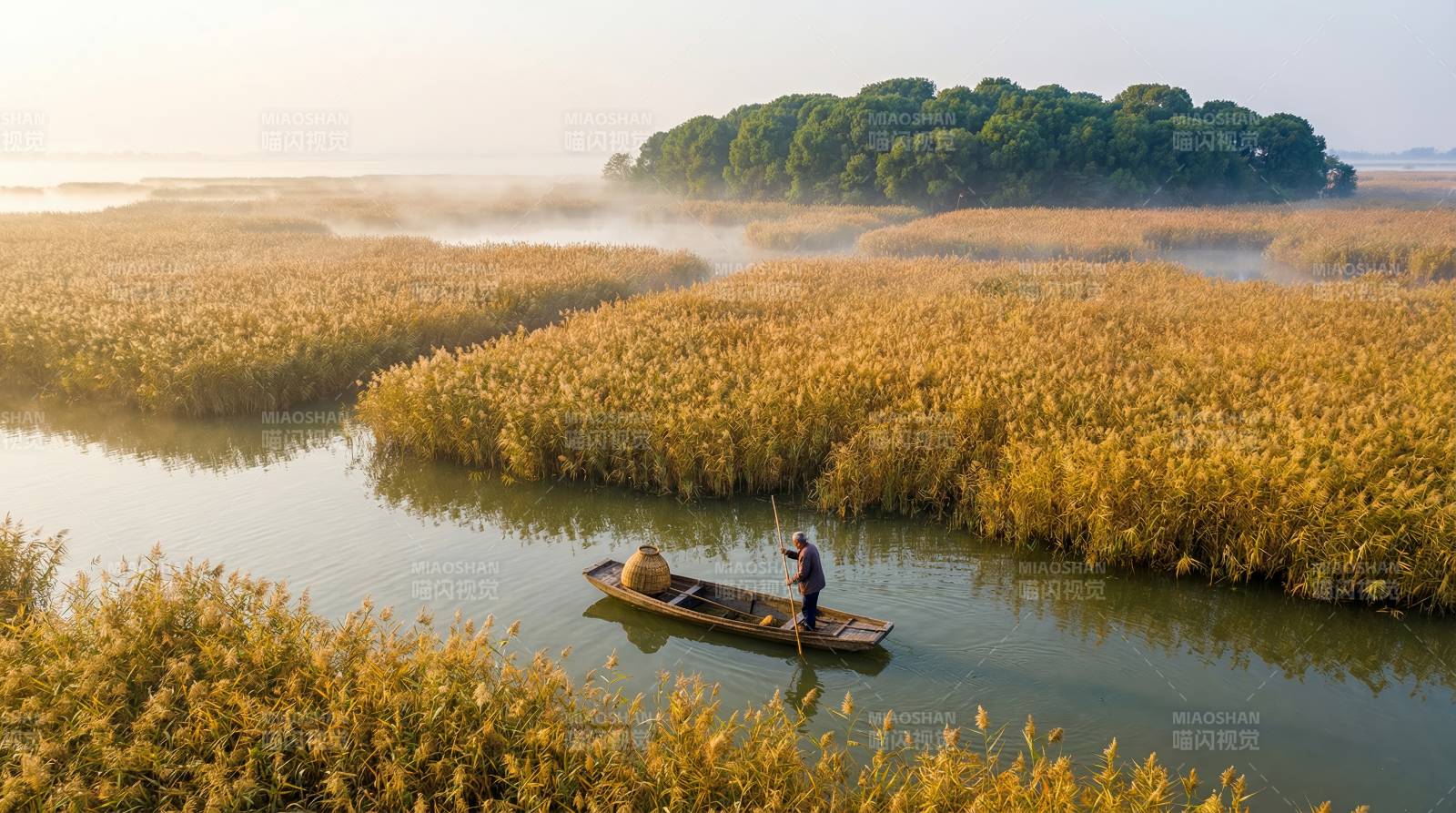 晨雾芦苇荡行舟图片