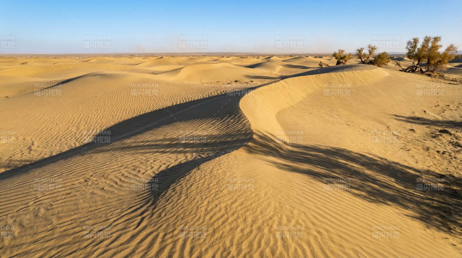 沙漠沙丘风光图片