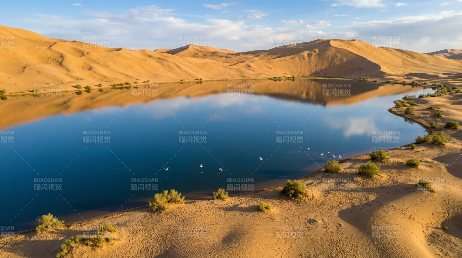 沙漠中的静谧湖水图片