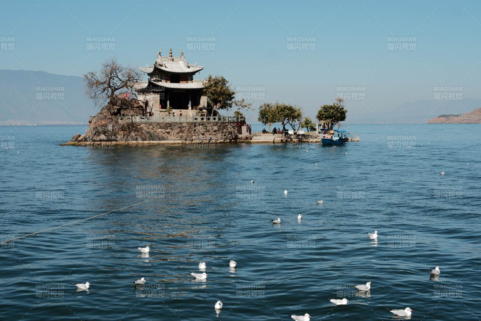 大理小普陀 湖心古亭 白鹭翩跹图片