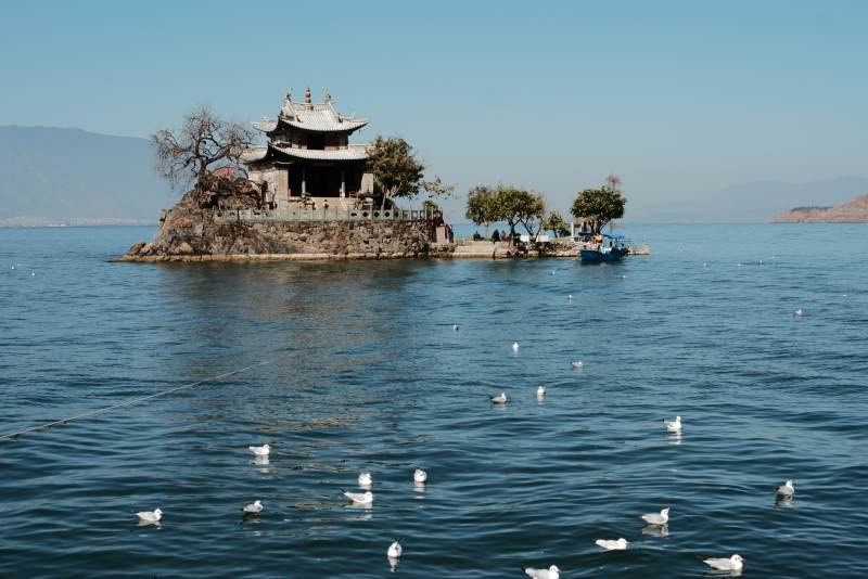 大理小普陀 湖心古亭 白鹭翩跹图片