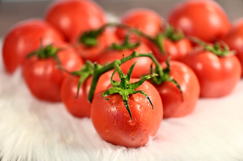 新鲜红润多汁健康营养美味水果番茄特写图片