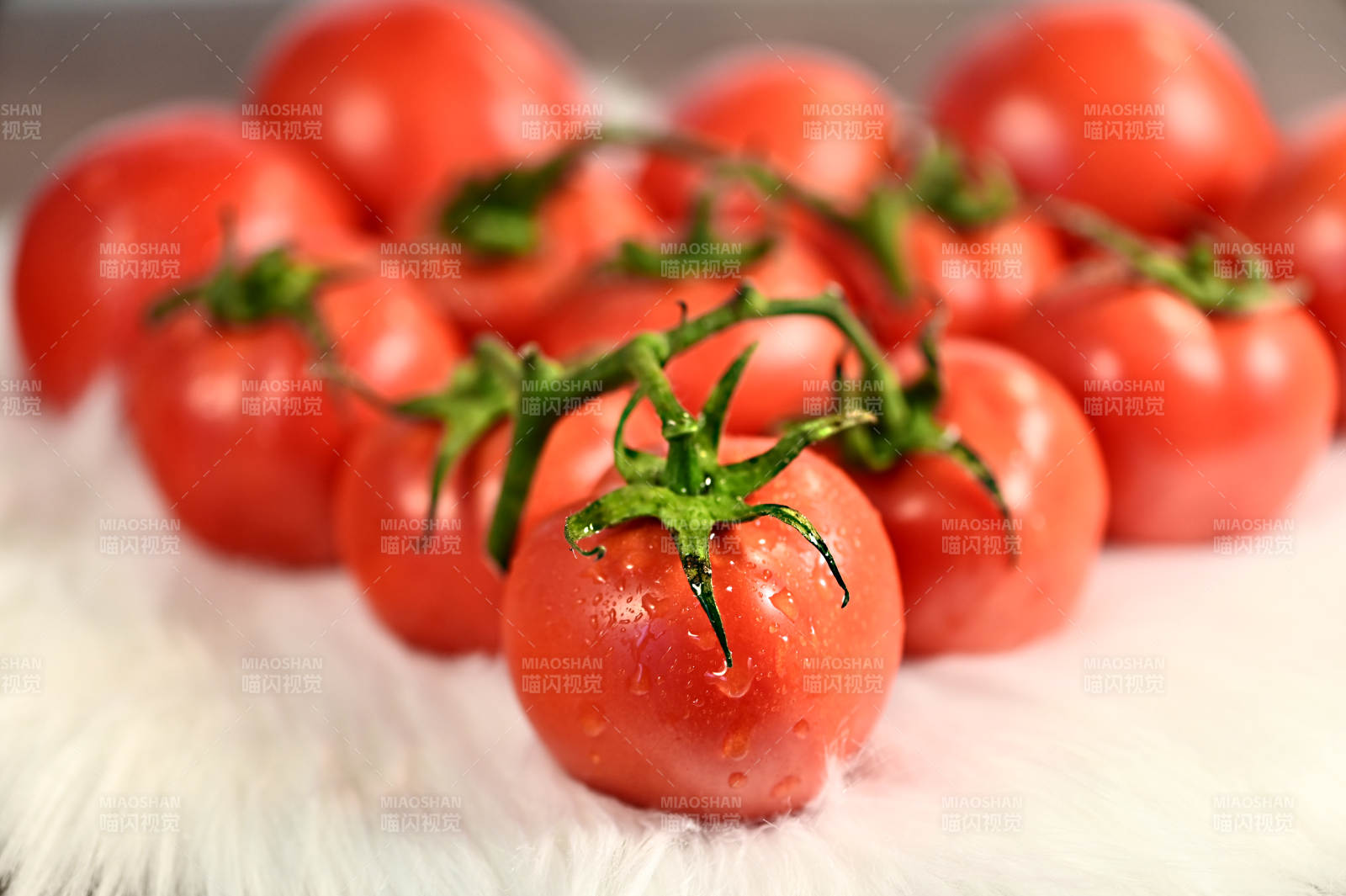 新鲜红润多汁健康营养美味水果番茄特写图片