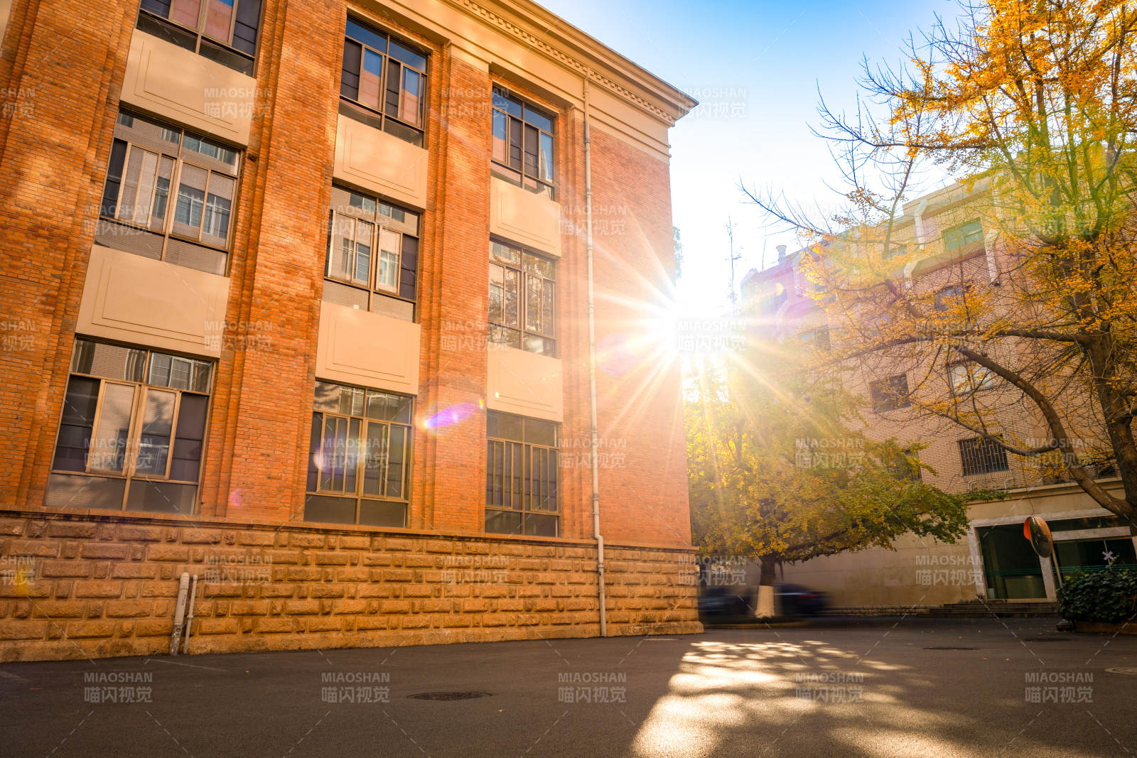 阳光洒落的校园一角图片