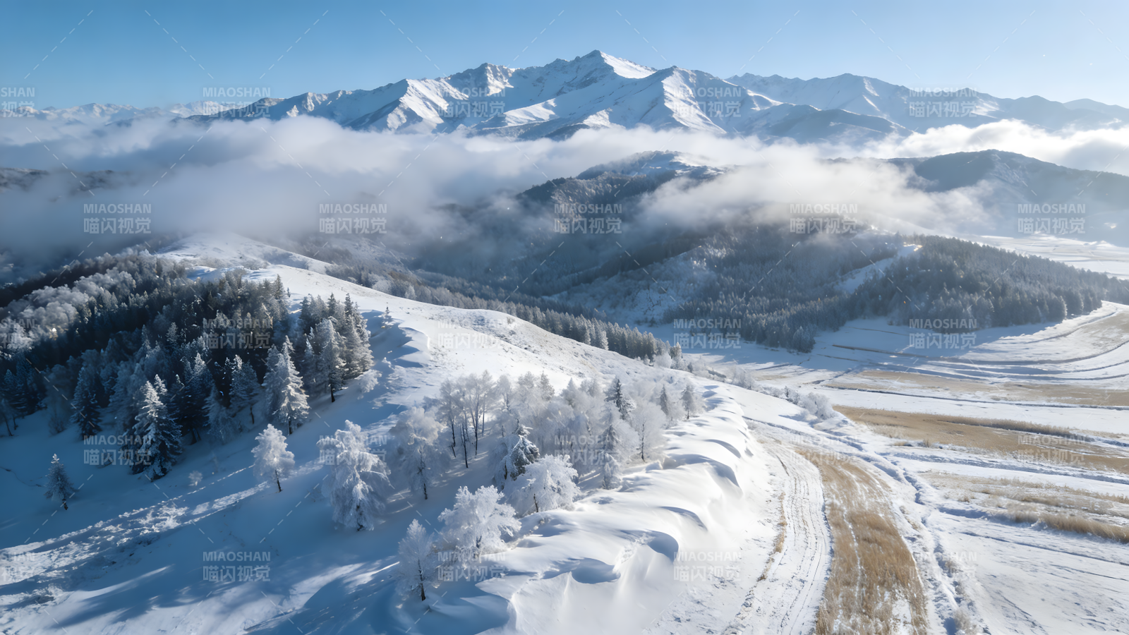 雪域山川云海图片