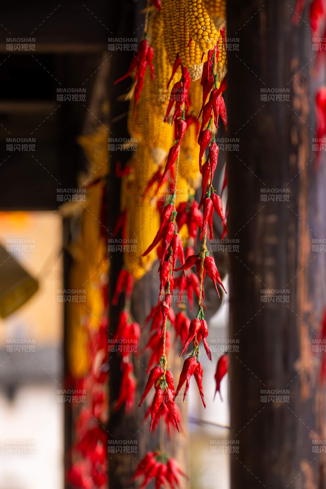 红椒玉米挂檐下图片