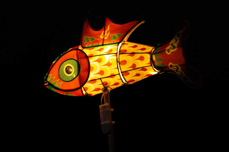 彩灯鱼形灯饰图片