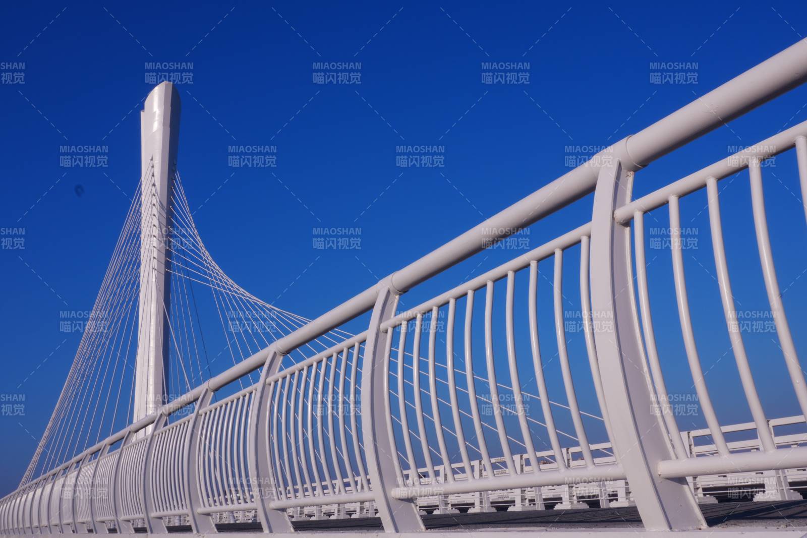 东阳博士大桥蓝天下的白色斜拉桥图片