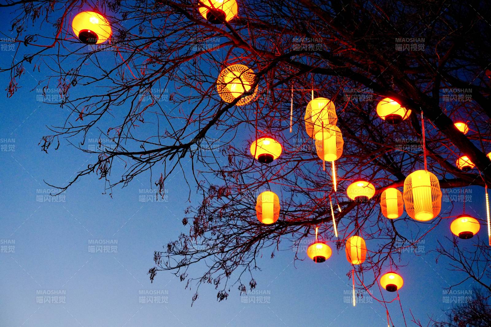 节日树梢的灯笼图片