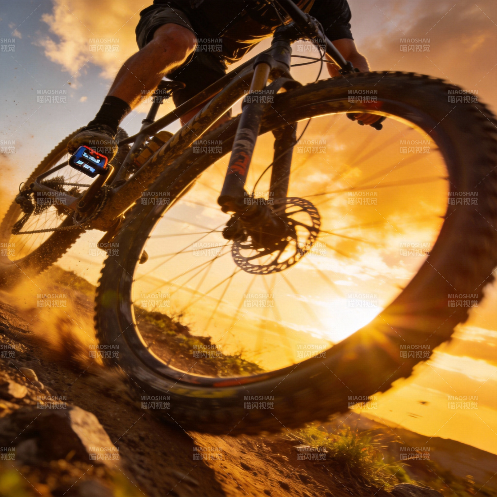 日落骑行图片