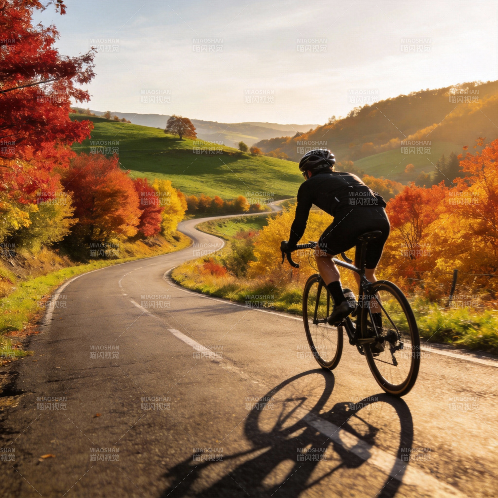 秋日骑行风景图片