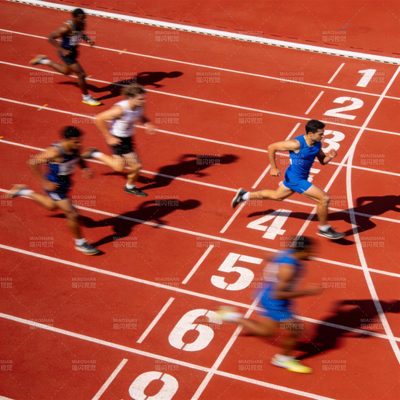 赛道上的速度对决图片