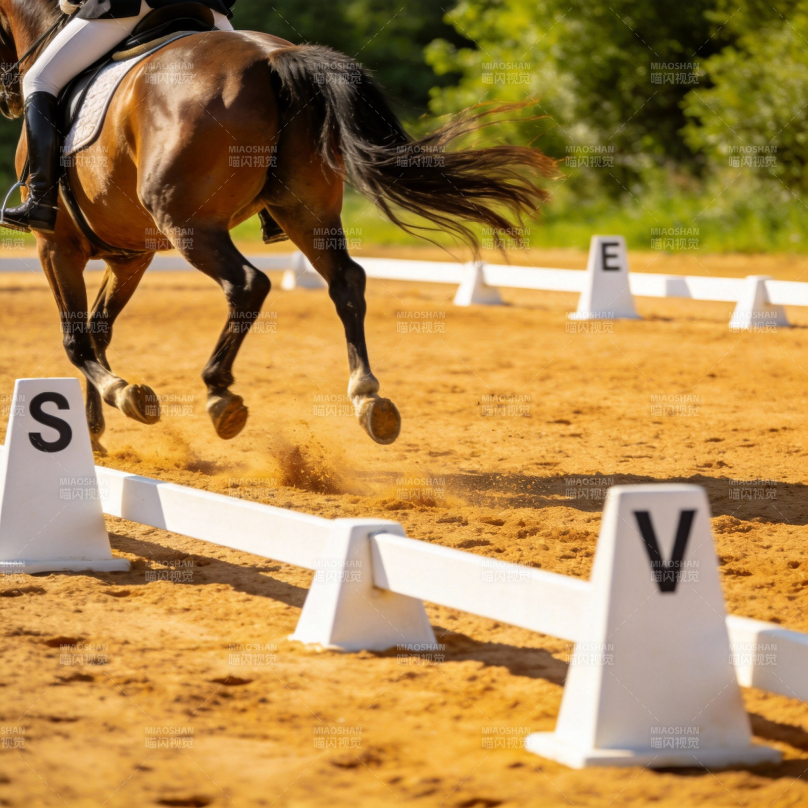 骏马飞跃障碍图片