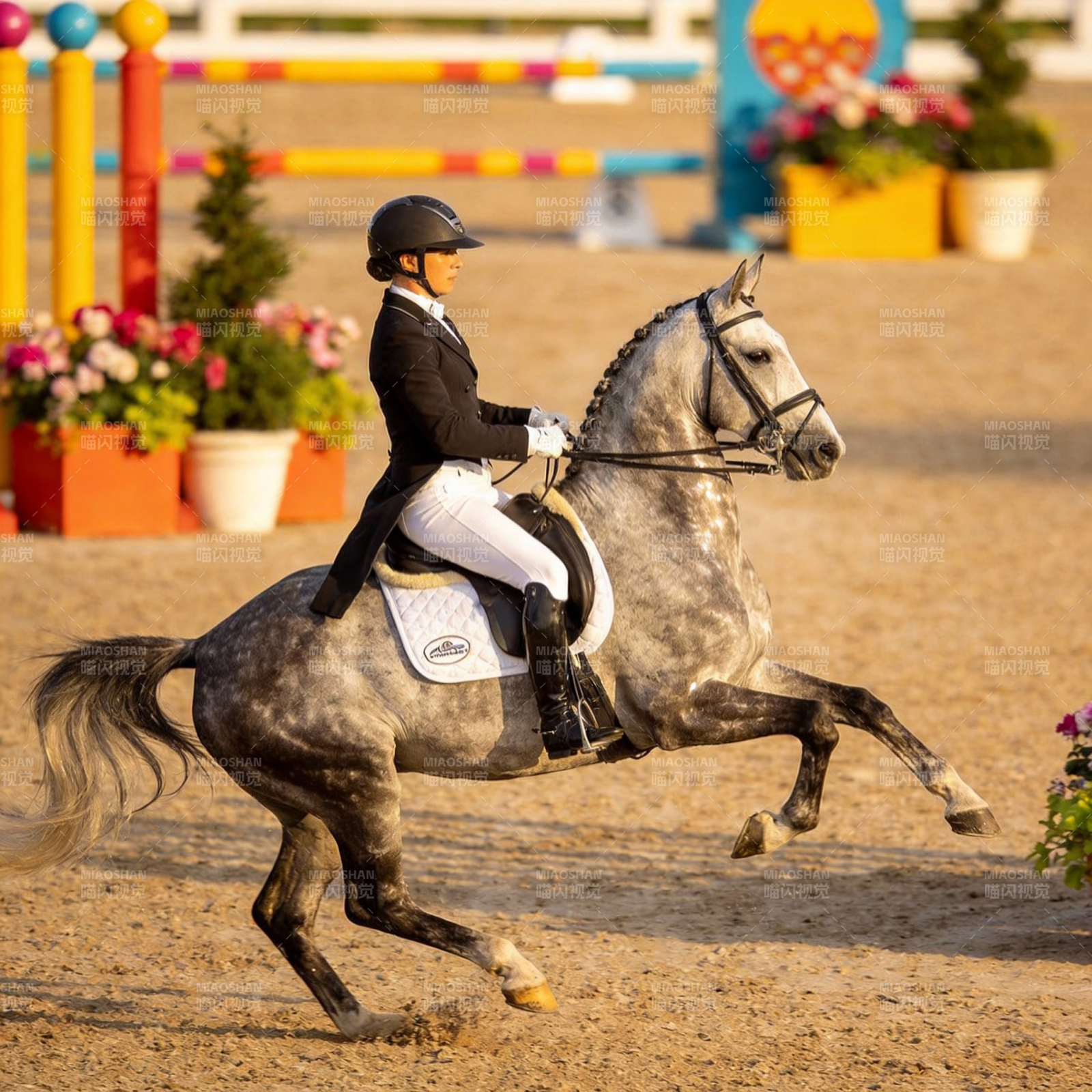 马术优雅瞬间图片