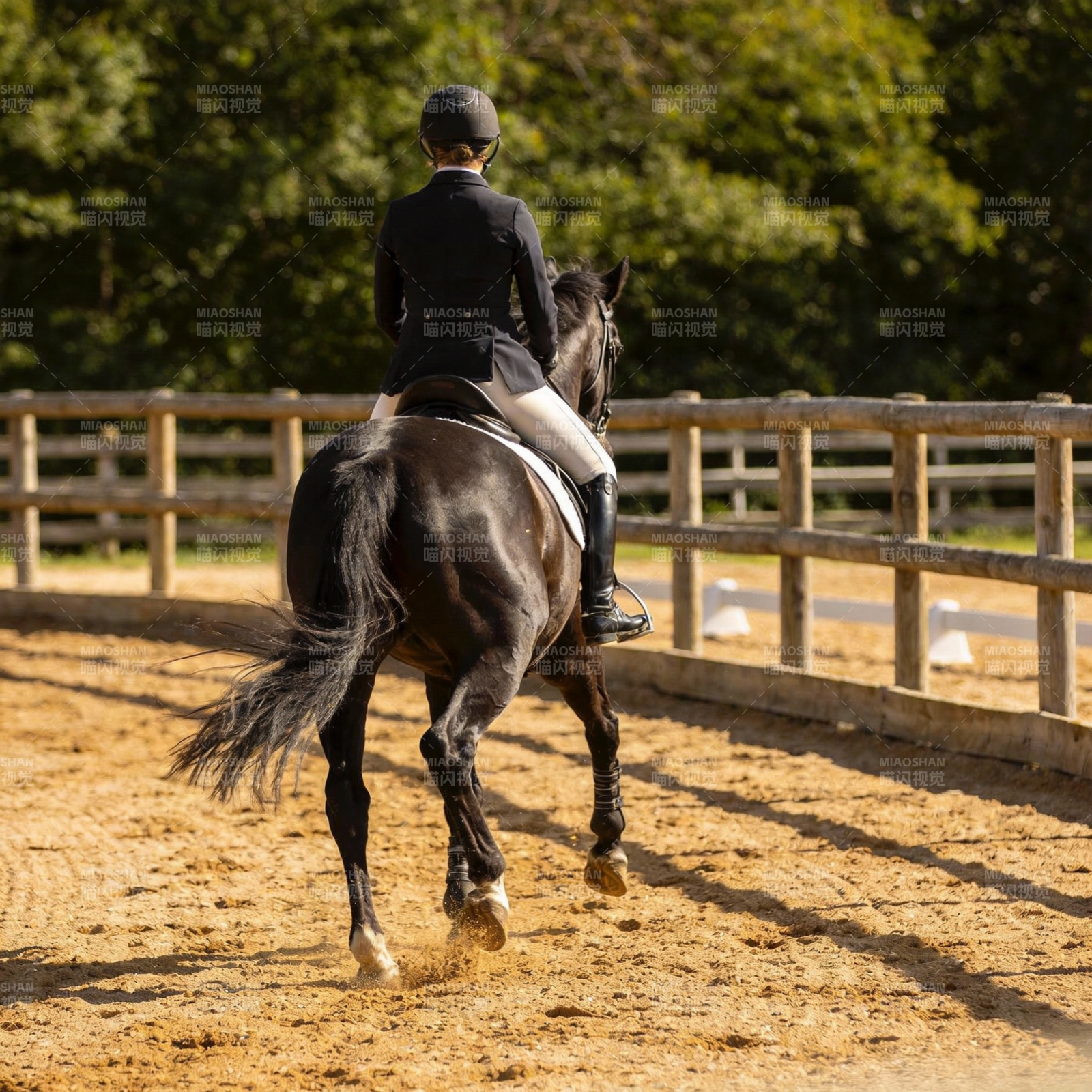 马术训练场景图片