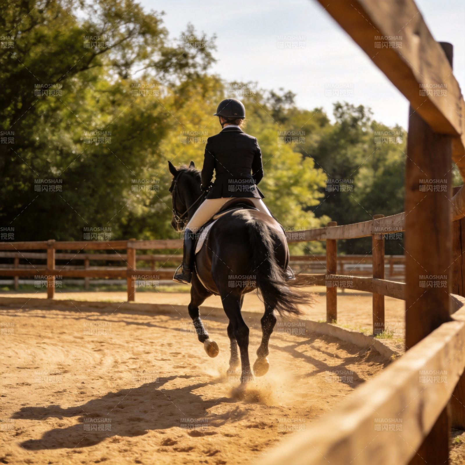 骑手驰骋沙场图片