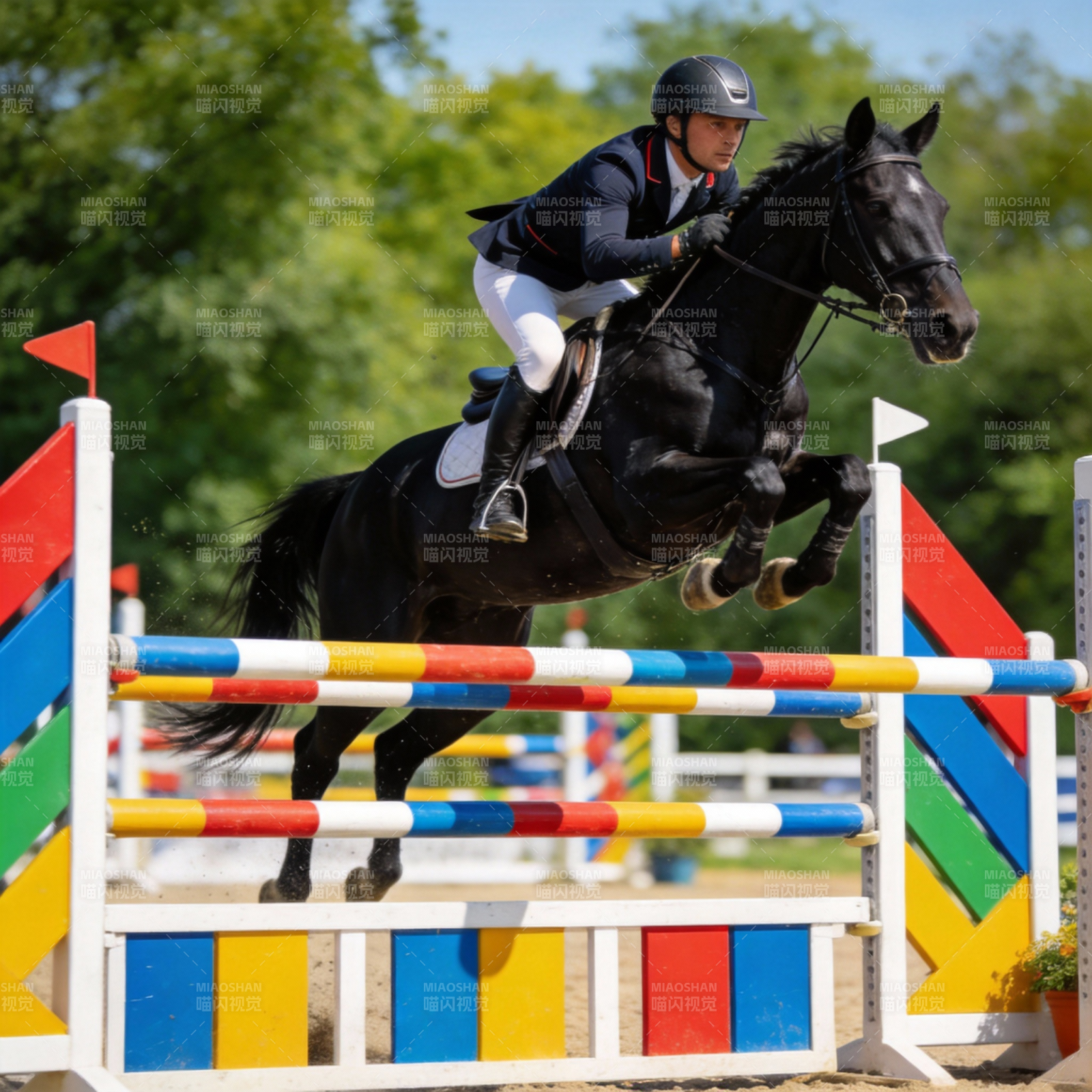 马术飞跃瞬间图片